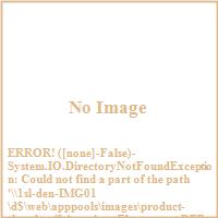 American Fluorescent DEP126SNEC